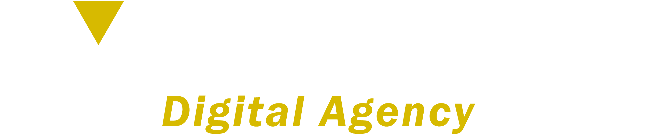 Future Mark Digital Agency
